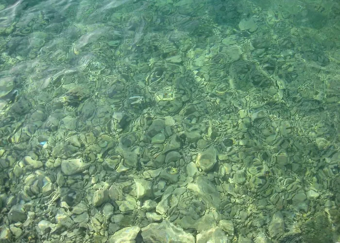 Red Hill Apartamento